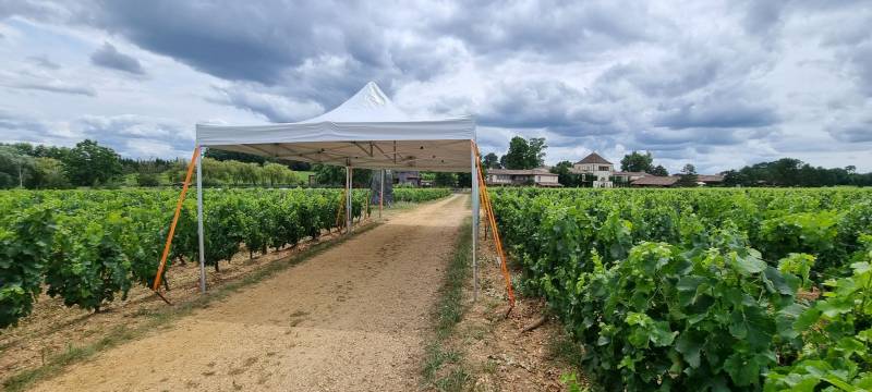 Location d'une tente pour un évènement dans le vigne à Bordeaux